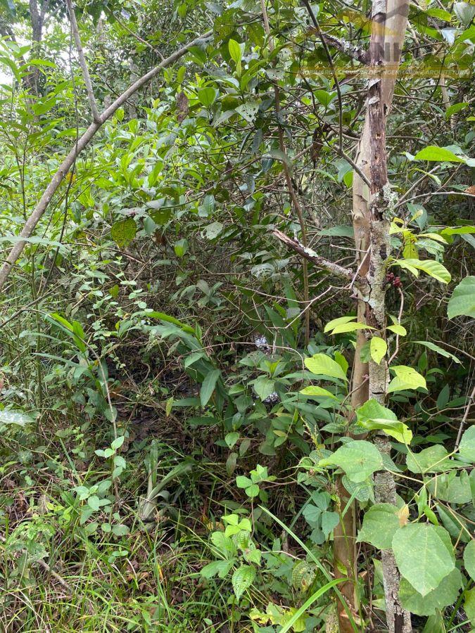 WhatsApp Image 2026-01-29 at 20.11.51 (3).jpeg